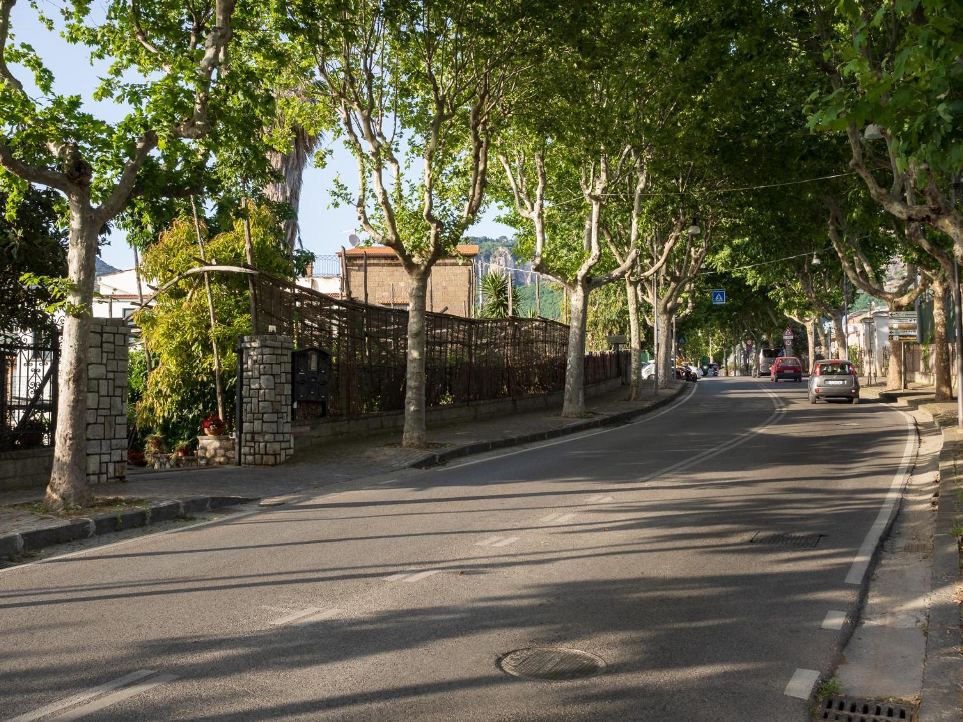 Villa Giardino Di Nonno Lucio - Surrounded By Lemon Tree Piano di Sorrento Exterior foto