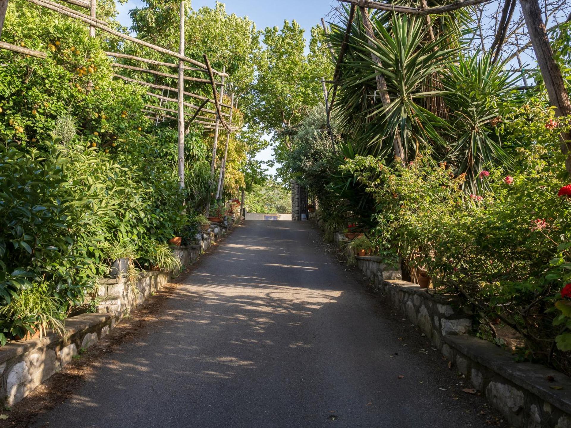 Villa Giardino Di Nonno Lucio - Surrounded By Lemon Tree Piano di Sorrento Exterior foto